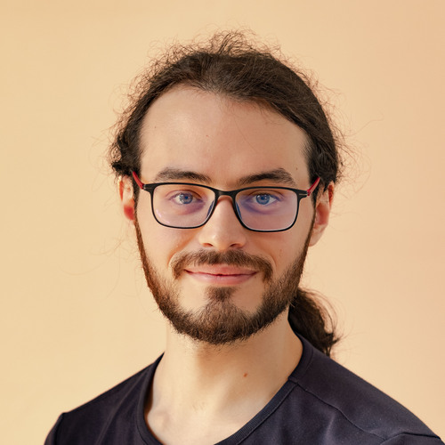 Ege Erdil's avatar