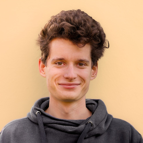 Marius Hobbhahn's avatar